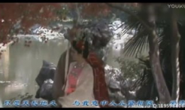 金瓶梅视频,繁华背后的欲望与挣扎