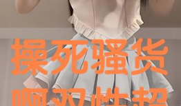 操骚货视频,揭秘网络恶俗现象背后的真相